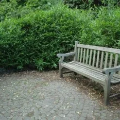 Natuur Kus Verkoopwinkel -Natuur Kus Verkoopwinkel 20081120105810 2