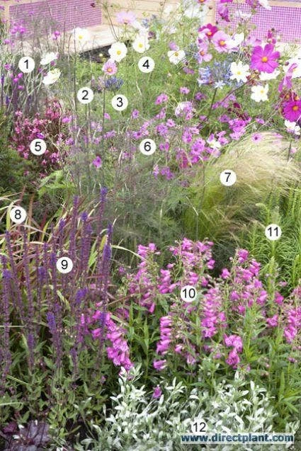 Borderpakket Zacht Roze 1 Borderpakket Zacht Roze