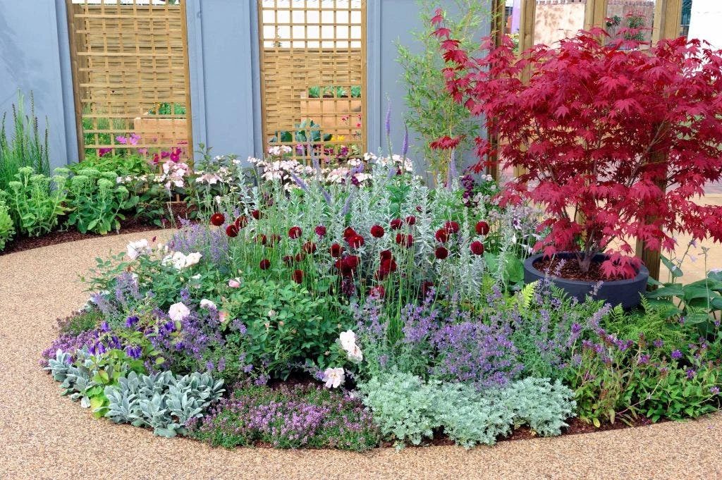 Borderpakket Zilver Met Paars 1 Borderpakket Zilver Met Paars