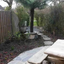 Grote Boomvaren (Dicksonia Antarctica) 24 Grote Boomvaren (Dicksonia Antarctica) -Natuur Kus Verkoopwinkel dicksonia antartica 1 1