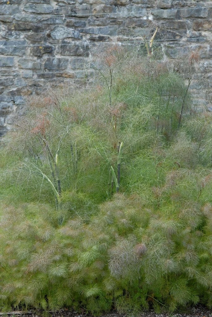 Borderpakket Groen, Paars En Oranje 2 Borderpakket Groen, Paars En Oranje - Afbeelding 2