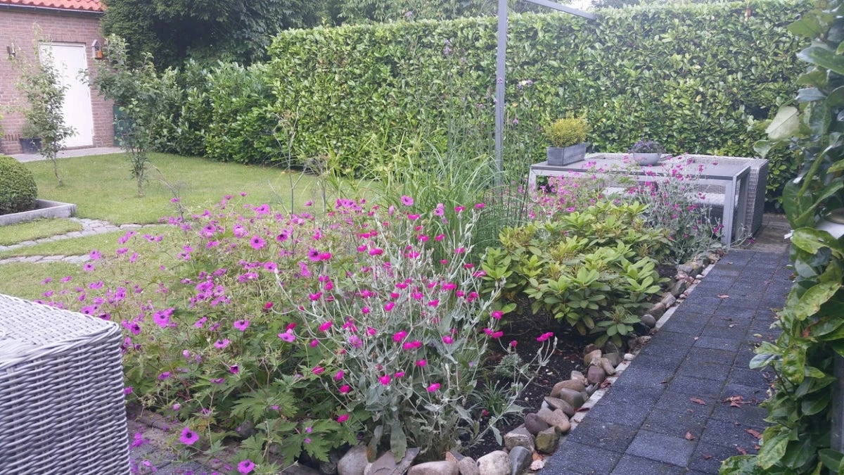 Borderpakket Zacht Roze 3 Borderpakket Zacht Roze - Afbeelding 3