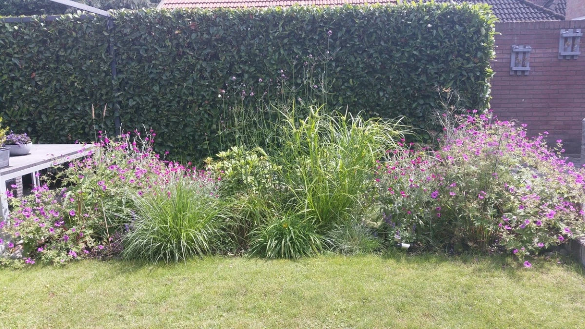 Borderpakket Zacht Roze 2 Borderpakket Zacht Roze - Afbeelding 2